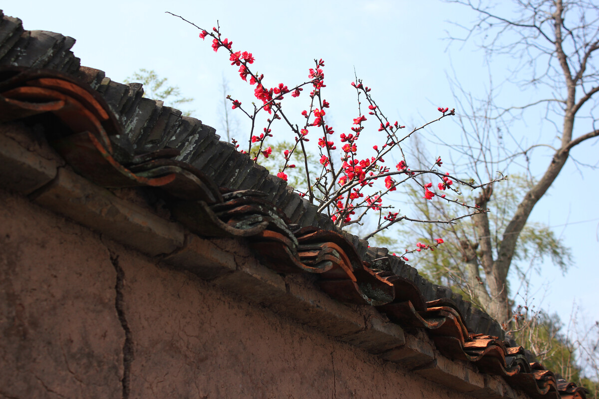 为什么春节后是红杏出墙的高发期  