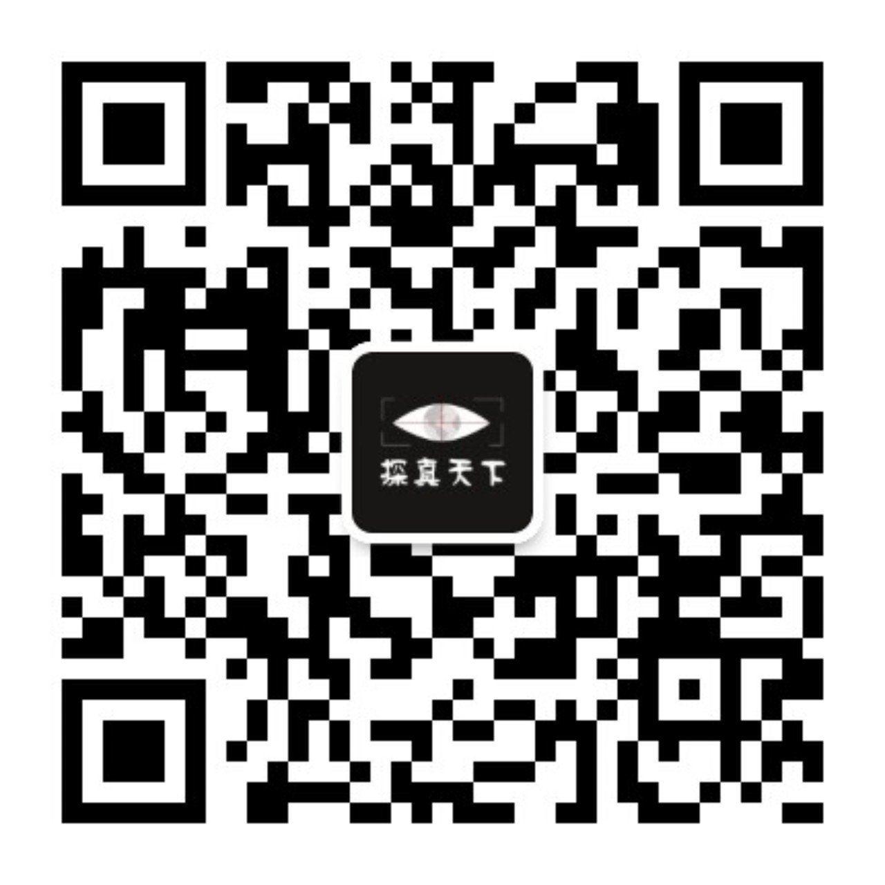 探真天下调查公司